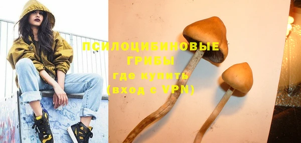 PSILOCYBIN Армянск