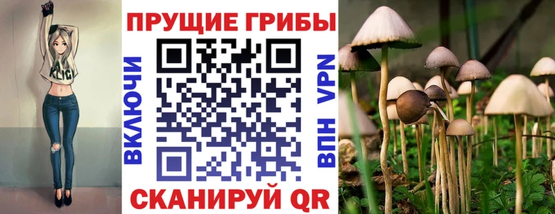 наркошоп  Калининец  Галлюциногенные грибы Cubensis 